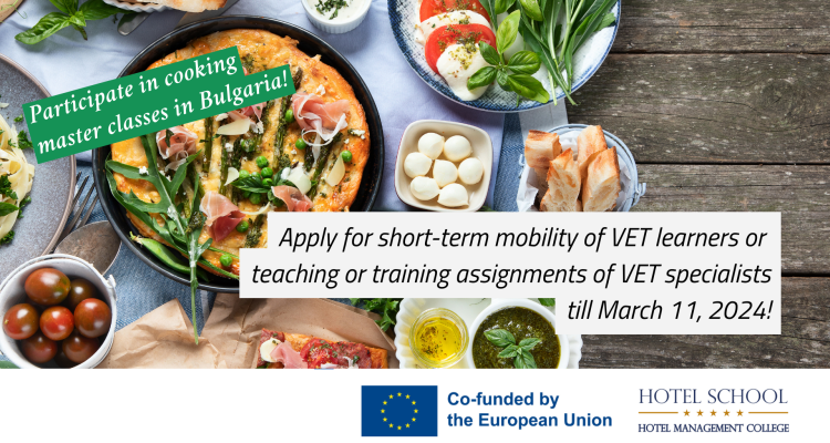 Erasmus short-term mobility of VET learners and teaching or training assignments of VET specialists