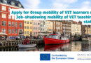 Apply for Erasmus vocational education mobilities to Denmark